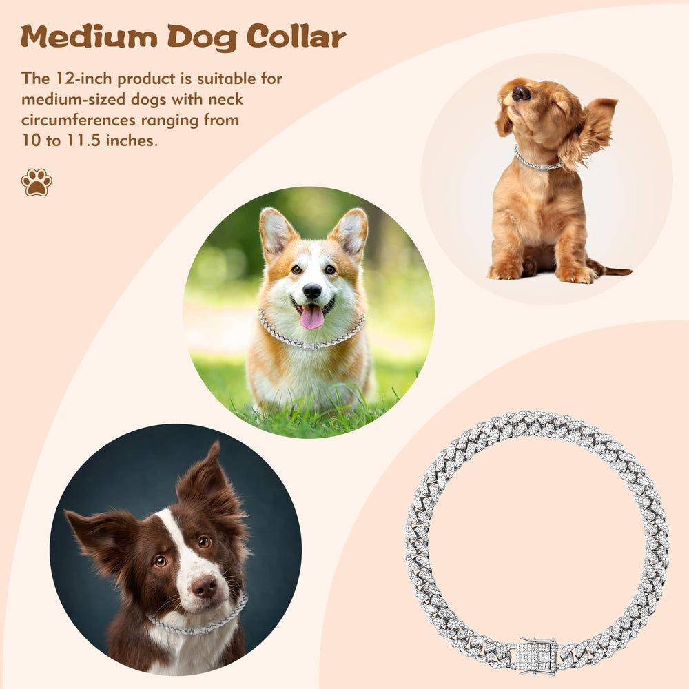 TVTOO Silver-plated collar on a pet reflects light for head-turning moments.
