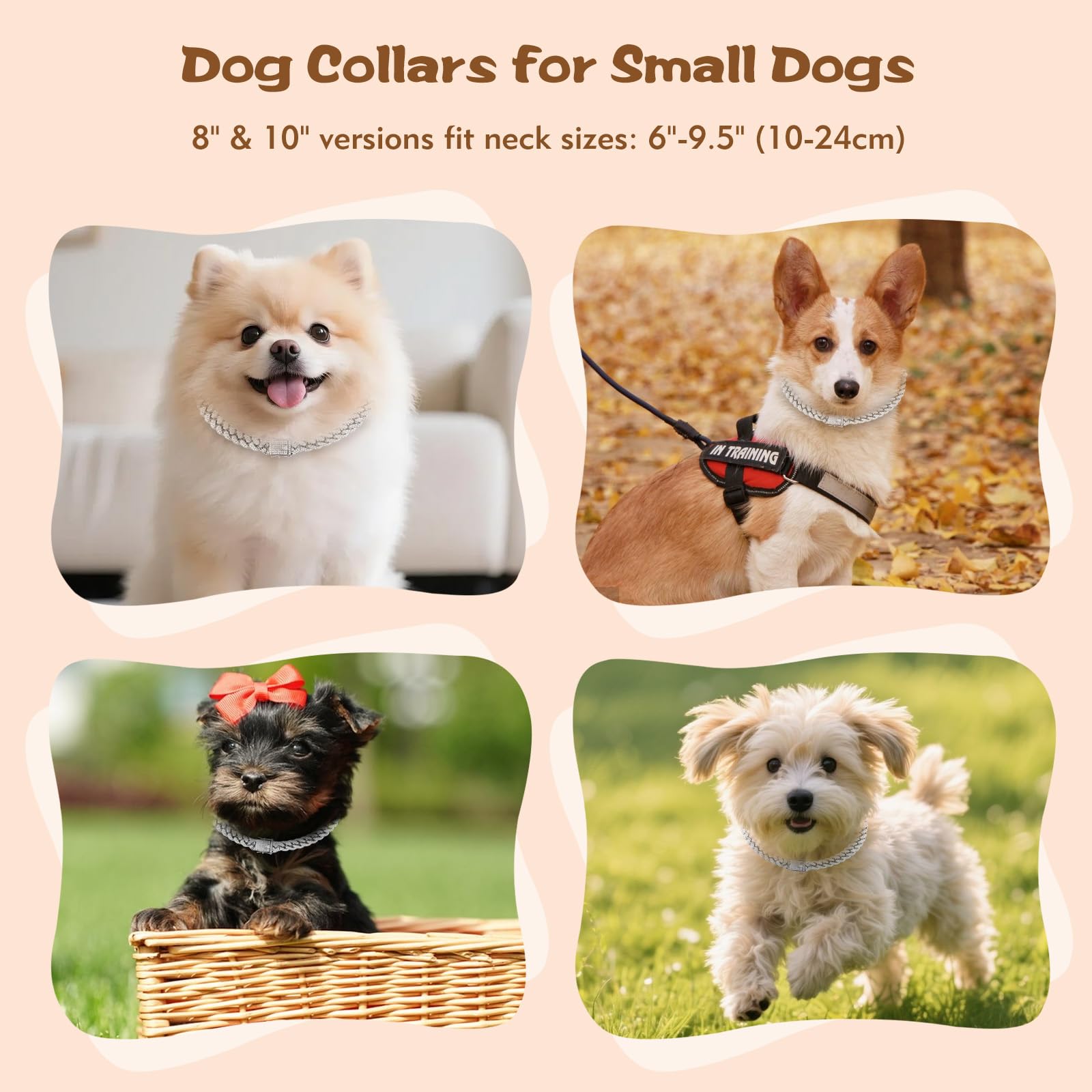 TVTOO precision-fit 10-inch collar ideal for tiny necks like Chihuahuas.