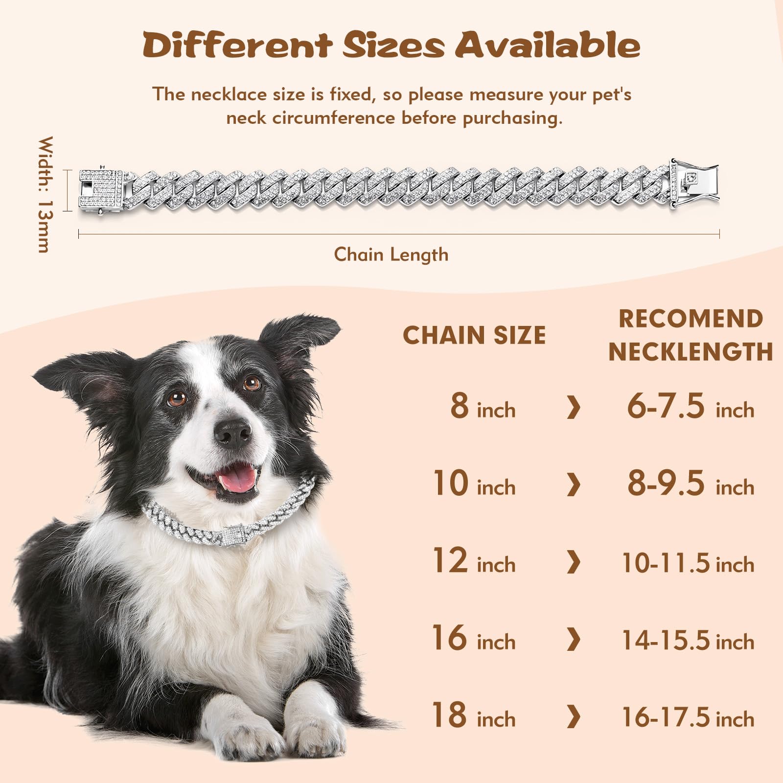 TVTOO Small dog collar rust resistance highlighted for daily adventures.