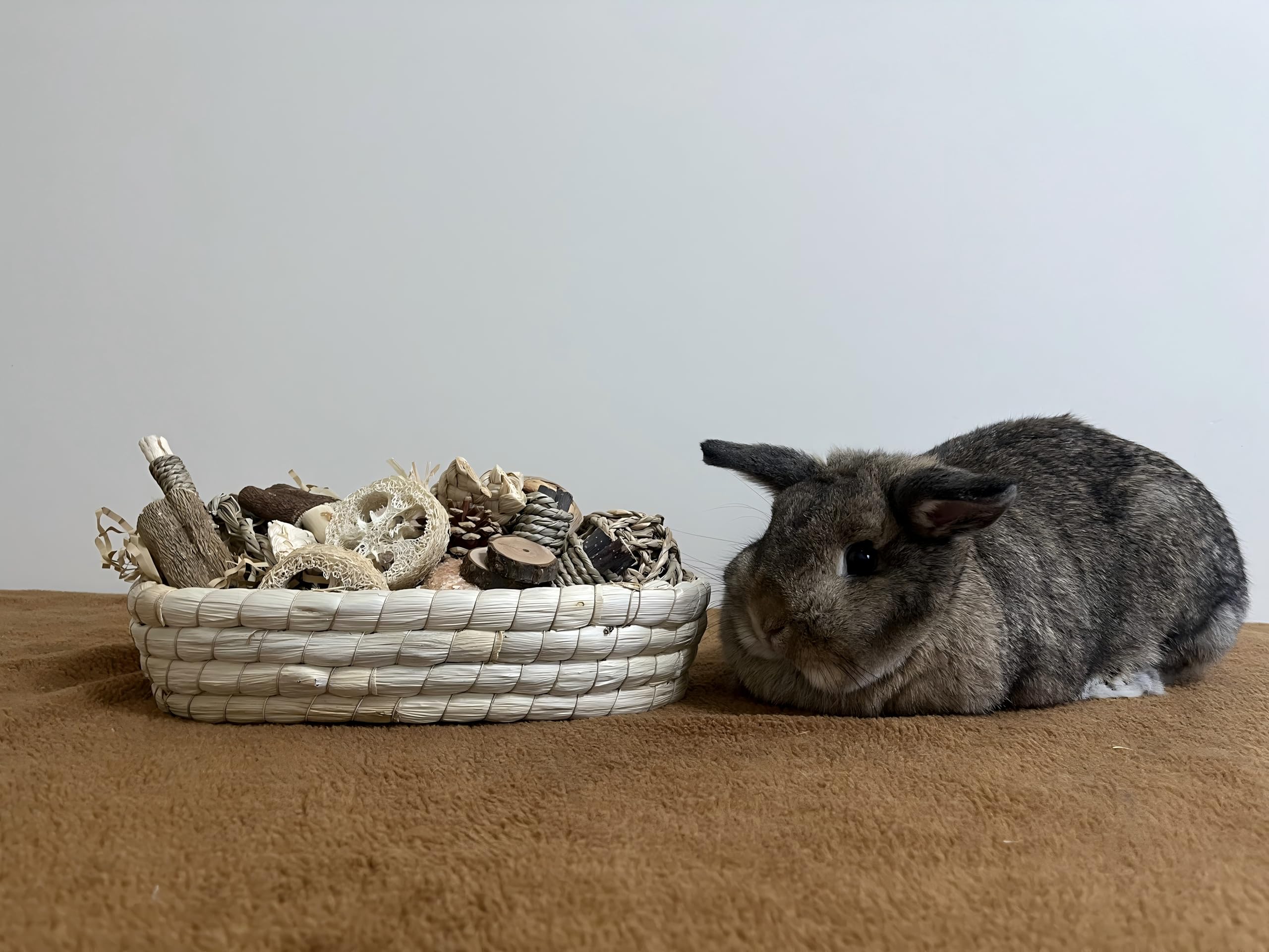 Twilumin corn husk toy offers foraging opportunities