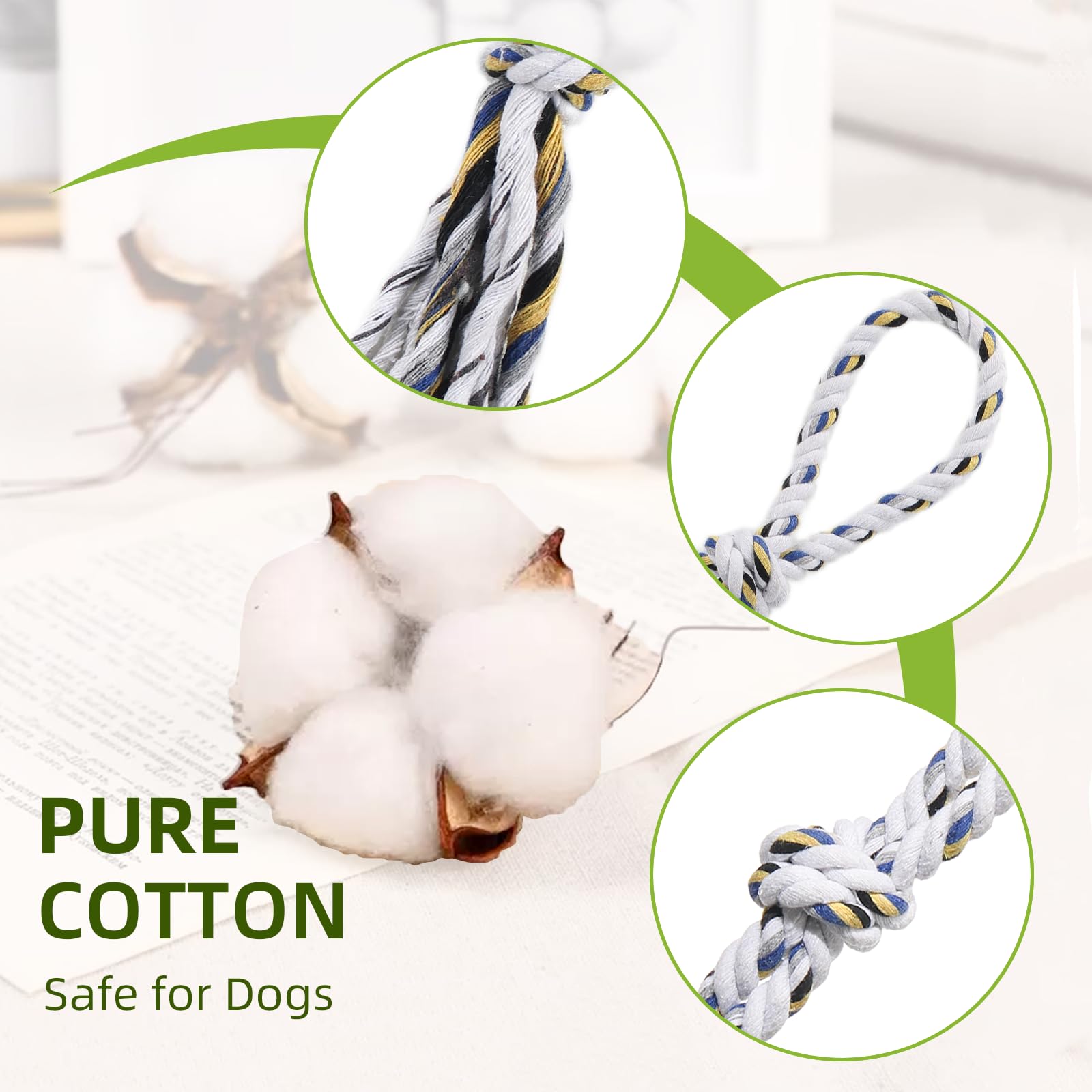 TwinkleTool Flirt Pole in action showcases chase and tug play