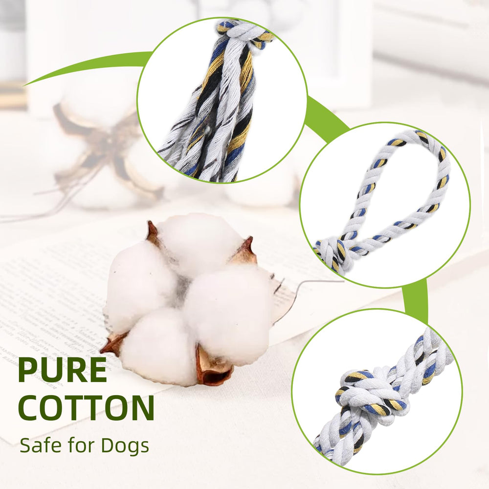 TwinkleTool Flirt Pole in action showcases chase and tug play