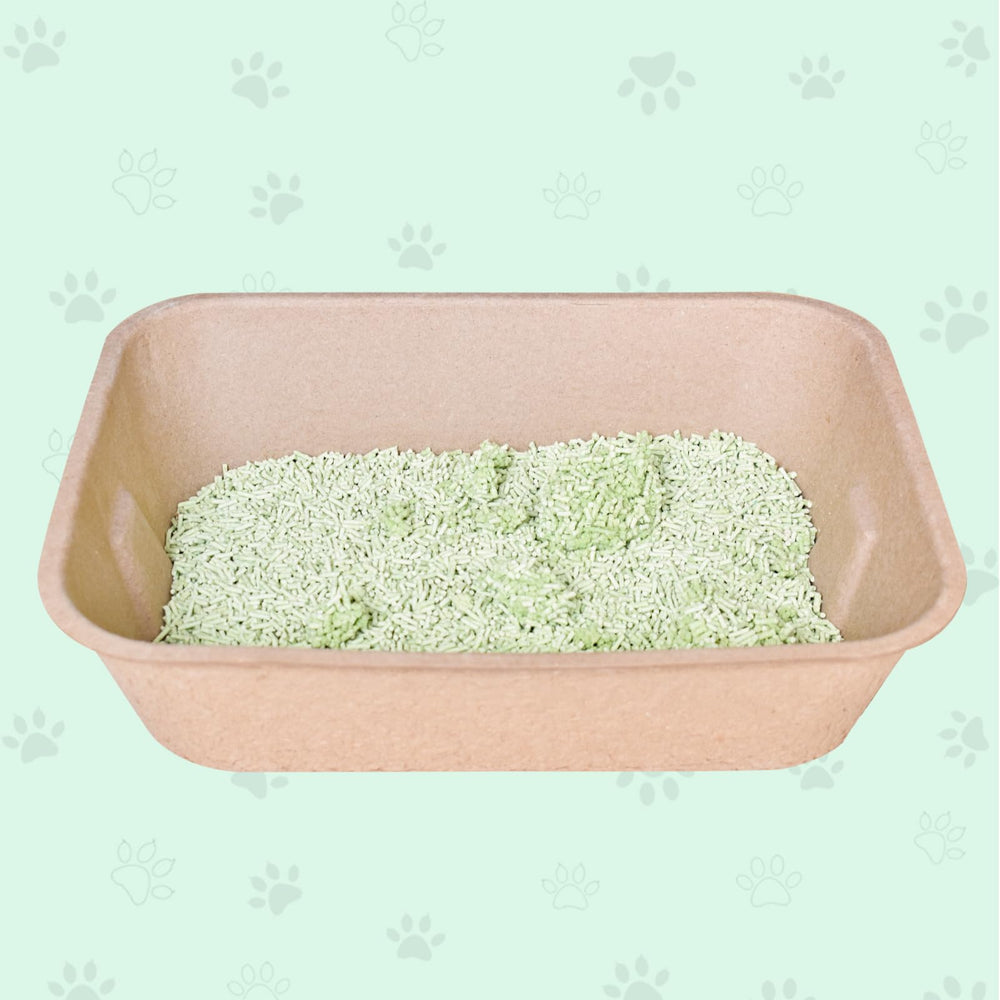 Twlead brown color disposable litter box emphasizing sustainable recycled paper.