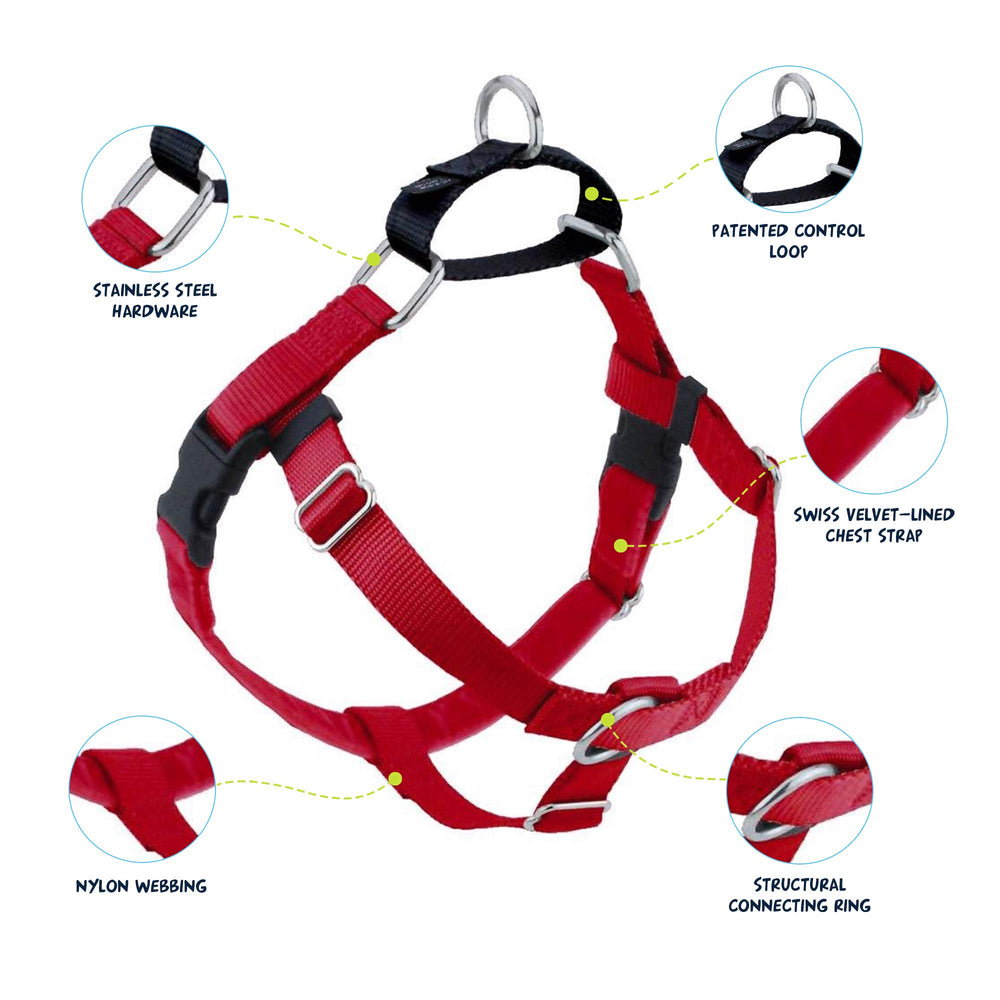 2 Hounds Design Freedom no-pull harness back view showing secure fit and even pressure.