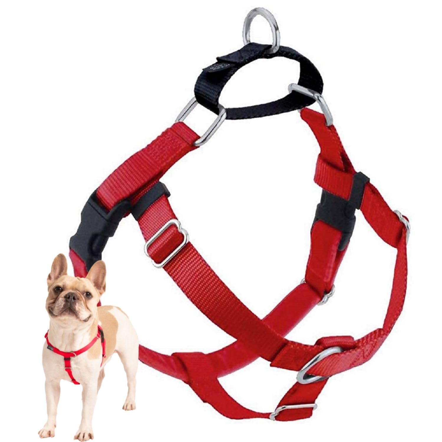 2 Hounds Design Freedom no-pull harness front view for easier, controlled walks.