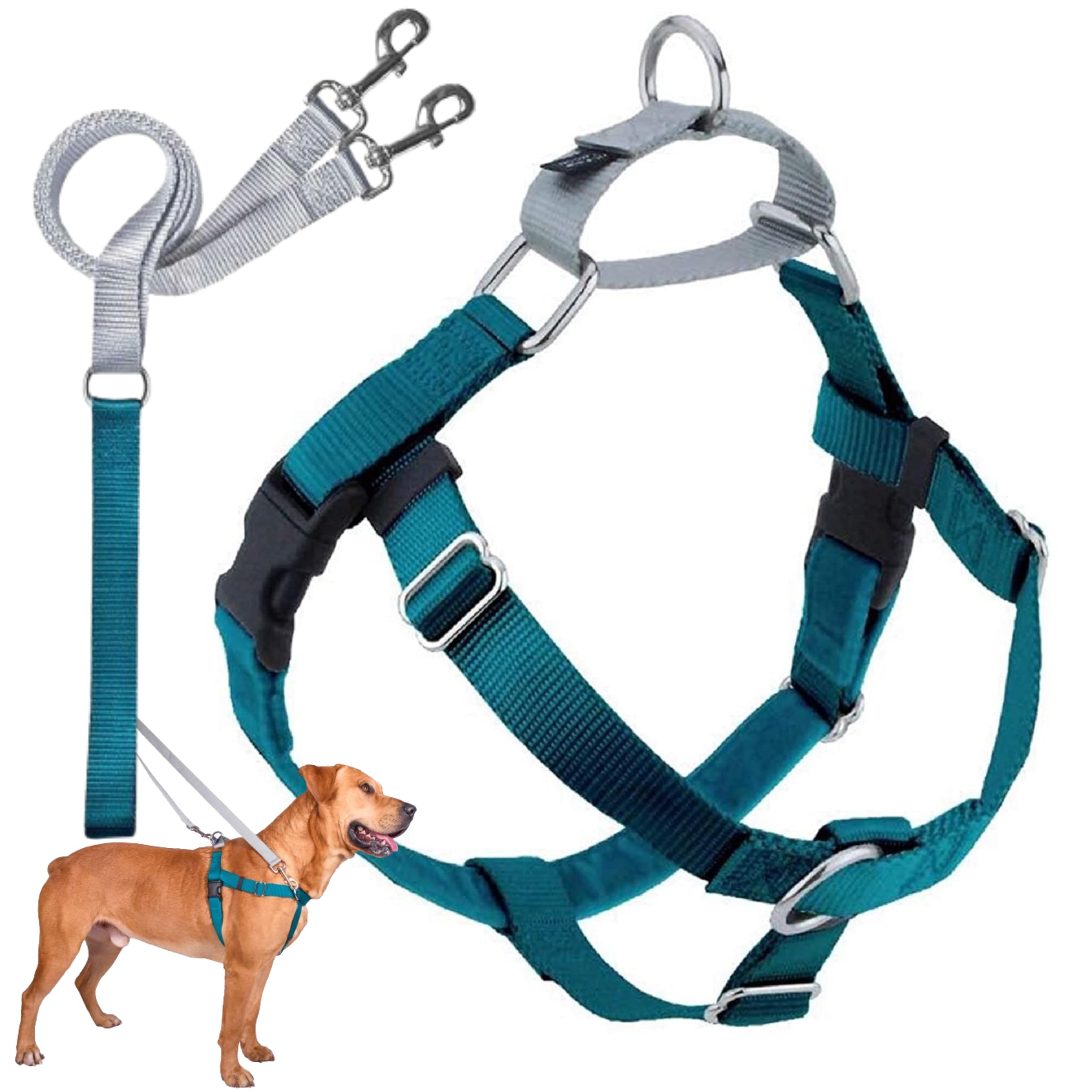Two Hounds Design Freedom No Pull Harness teal on dog improves walk control