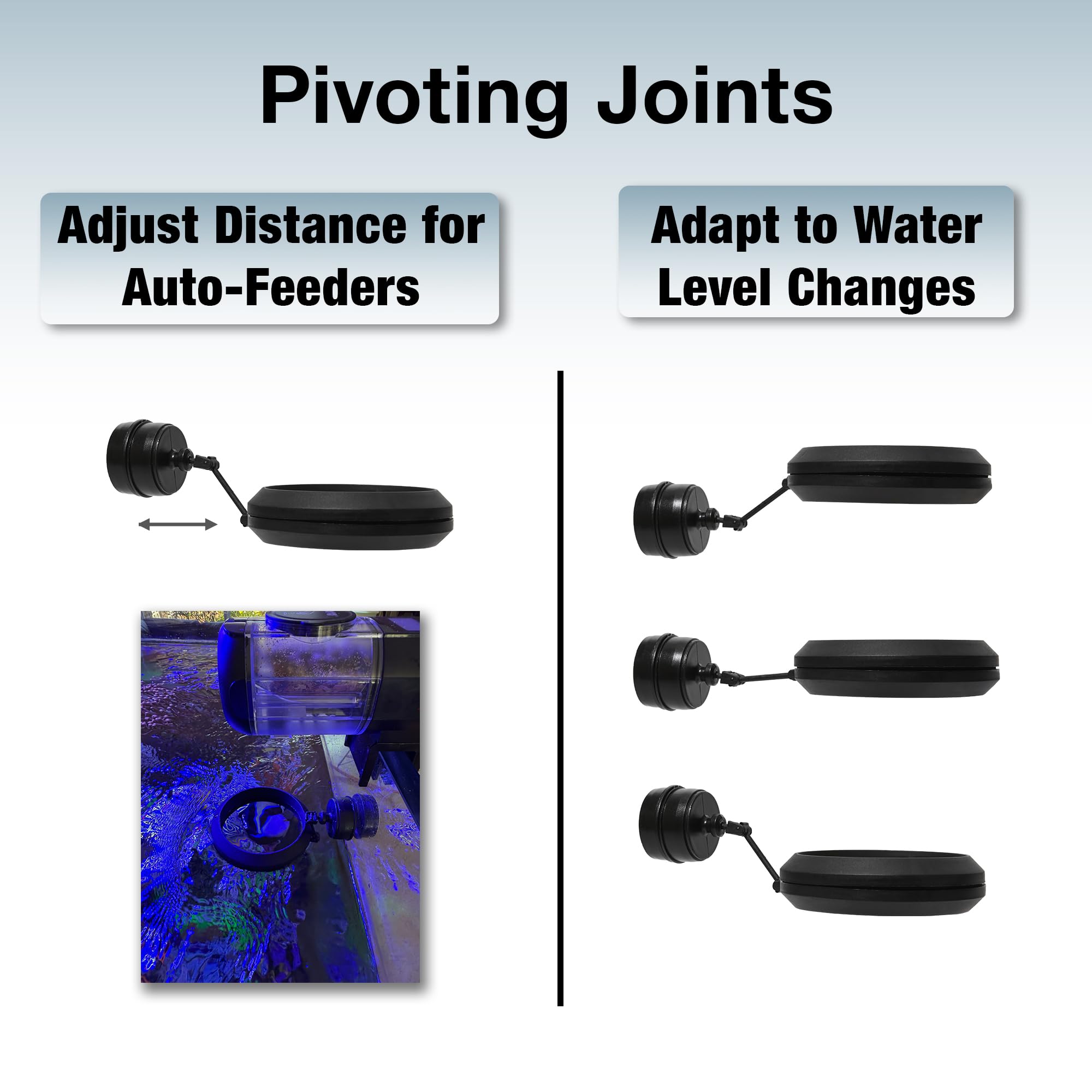 Two Little Fishies MagFeeder ring in a saltwater tank with accurate placement