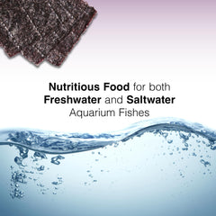 Two Little Fishies Sea Veg-Purple Seaweed in-tank feeding setup for herbivorous reef fish.