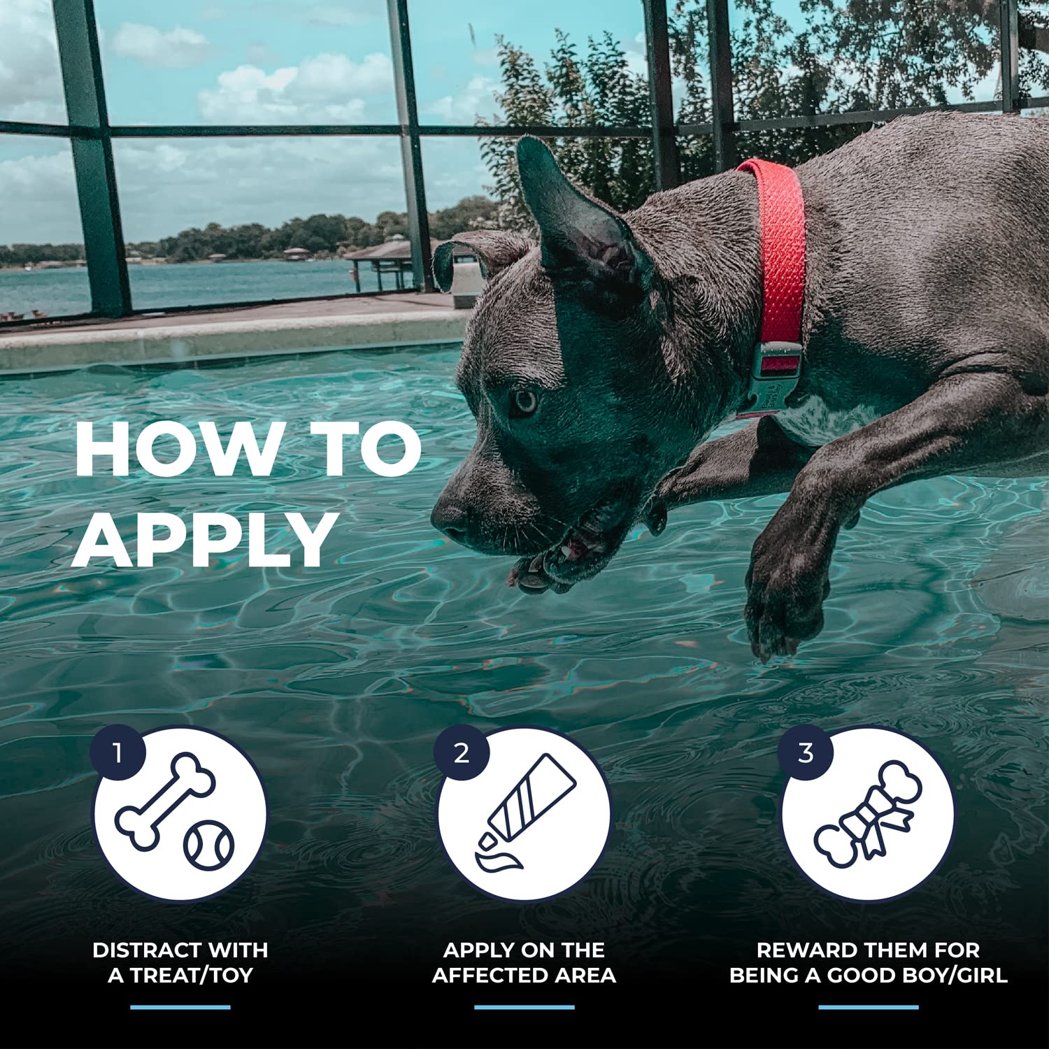 Two Pets and a Half anti-itch dog ointment targets irritation for calm moments