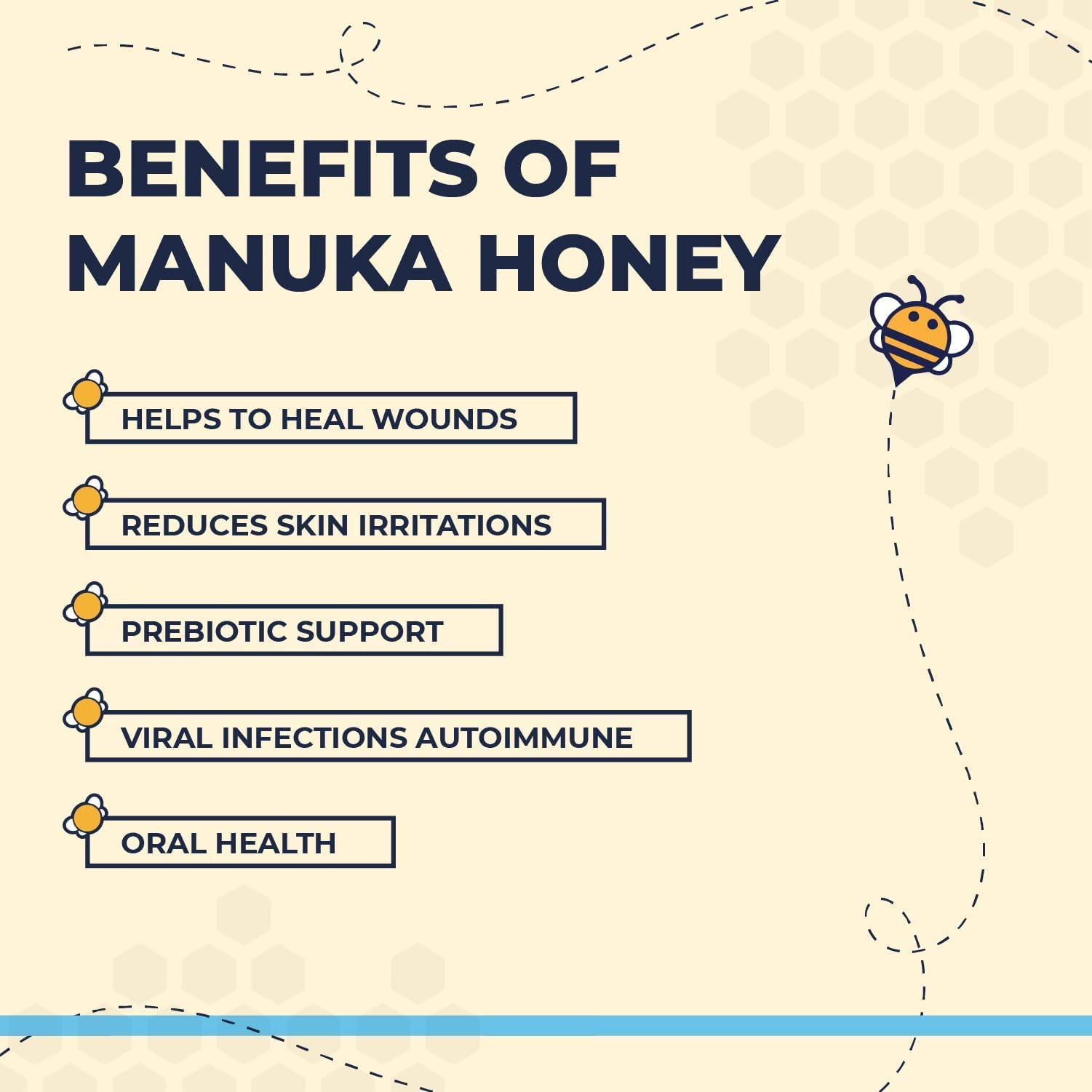 Two Pets and a Half USA-made dog care product designed for sensitive bulldog skin