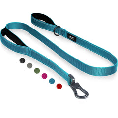 TwoEar 6ft blue dog leash with padded dual handles for comfortable daily walks.