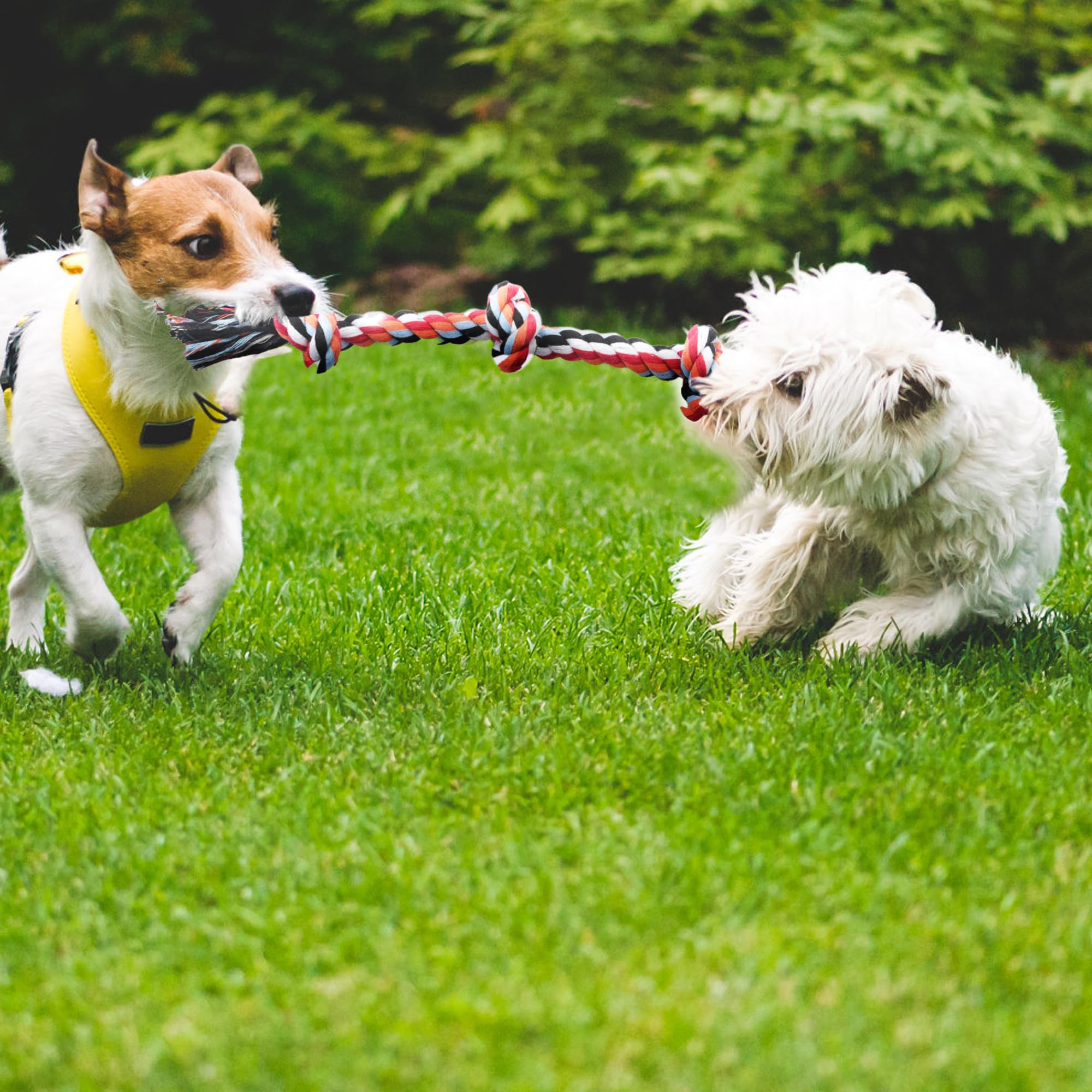 TwoEar rope toy 4-pack durable braided cotton with easy grip.