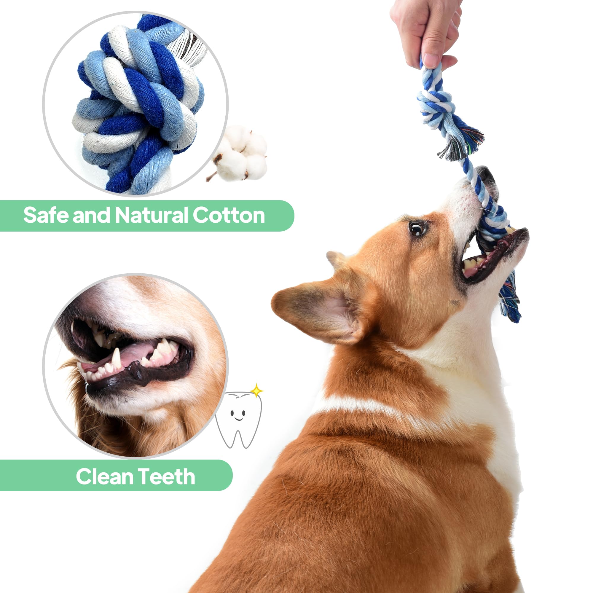 TwoEar rope toy 4-pack teething puppy toy for soothing gums.
