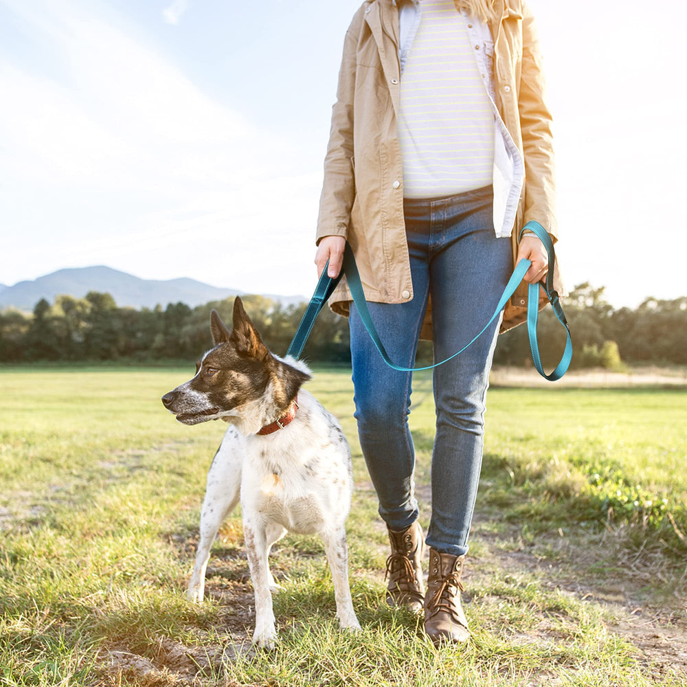 TwoEar dual-use ring for waste bags or keys on the leash.