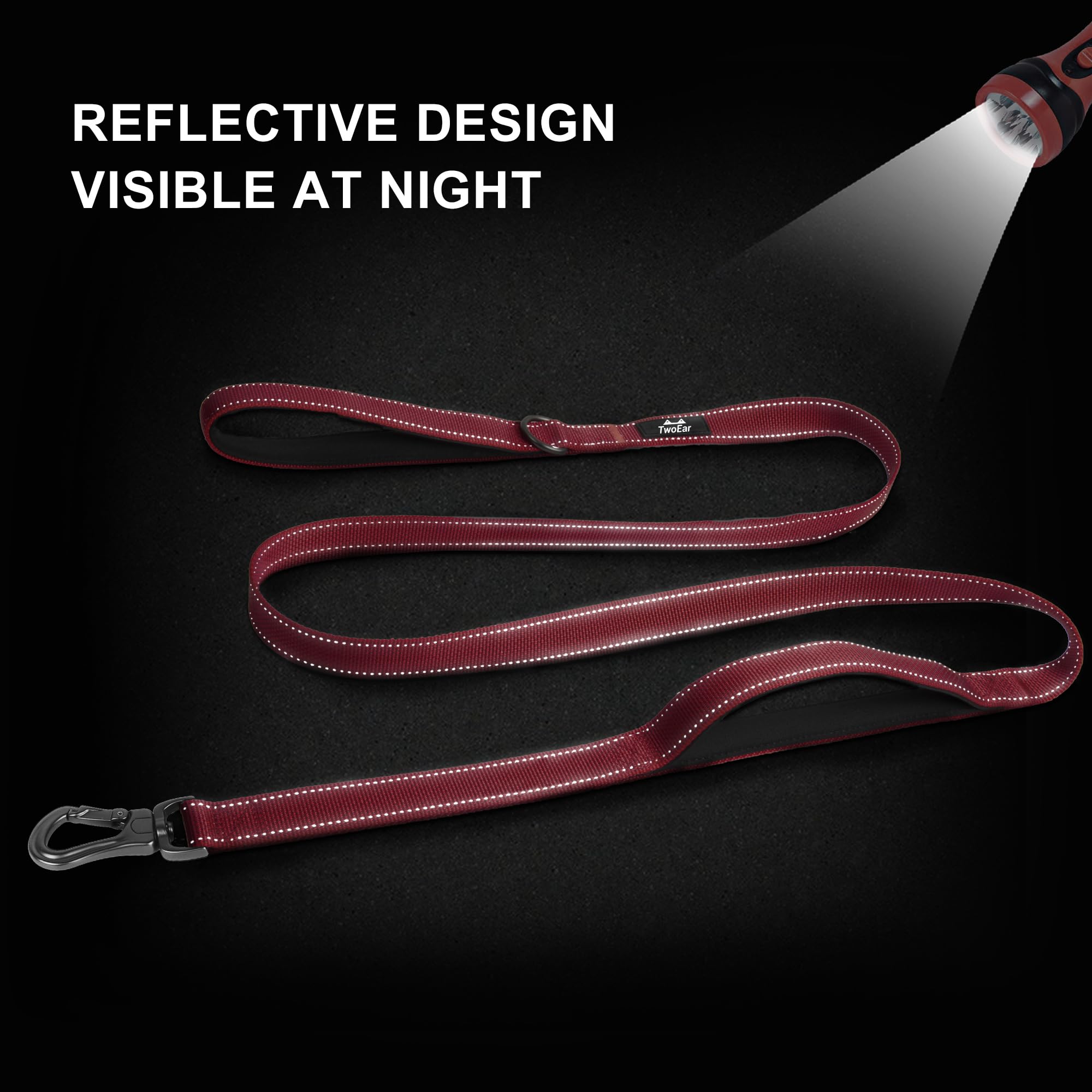TwoEar durable nylon webbing leash built for daily wear and strong pulls.