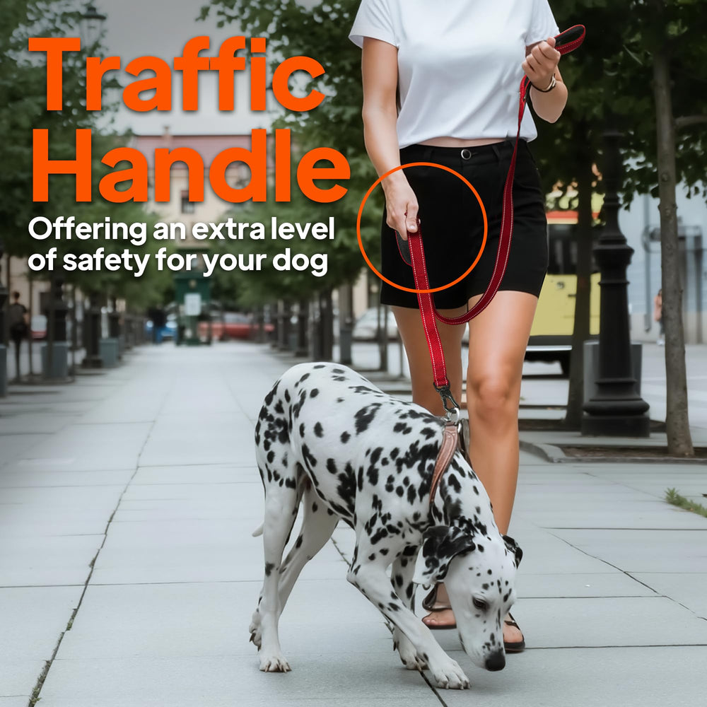 TwoEar durable-nylon-webbing demonstrates strength and longevity