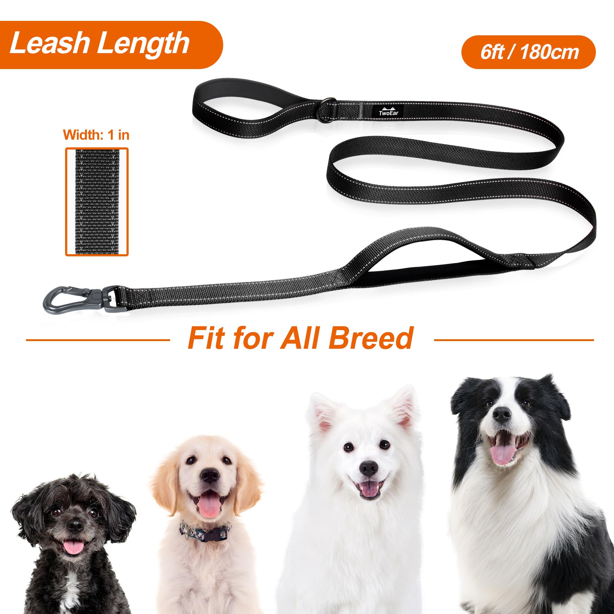 TwoEar leash 6ft length offering balanced freedom and control for dogs of varying sizes.