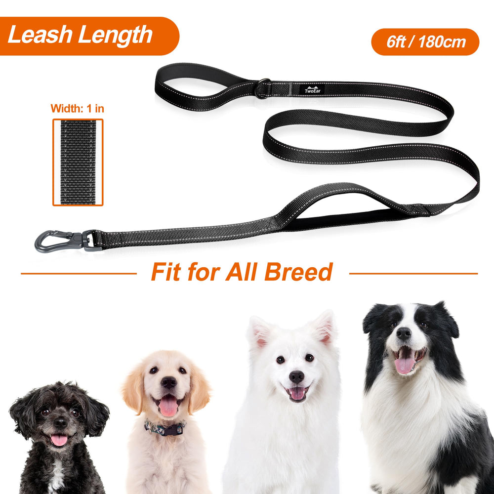 TwoEar leash 6ft length offering balanced freedom and control for dogs of varying sizes.