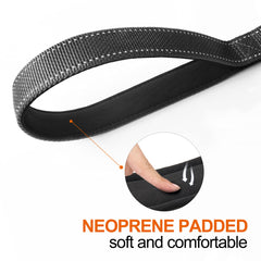 TwoEar leash made of durable heavy-duty nylon webbing for daily outdoor use.