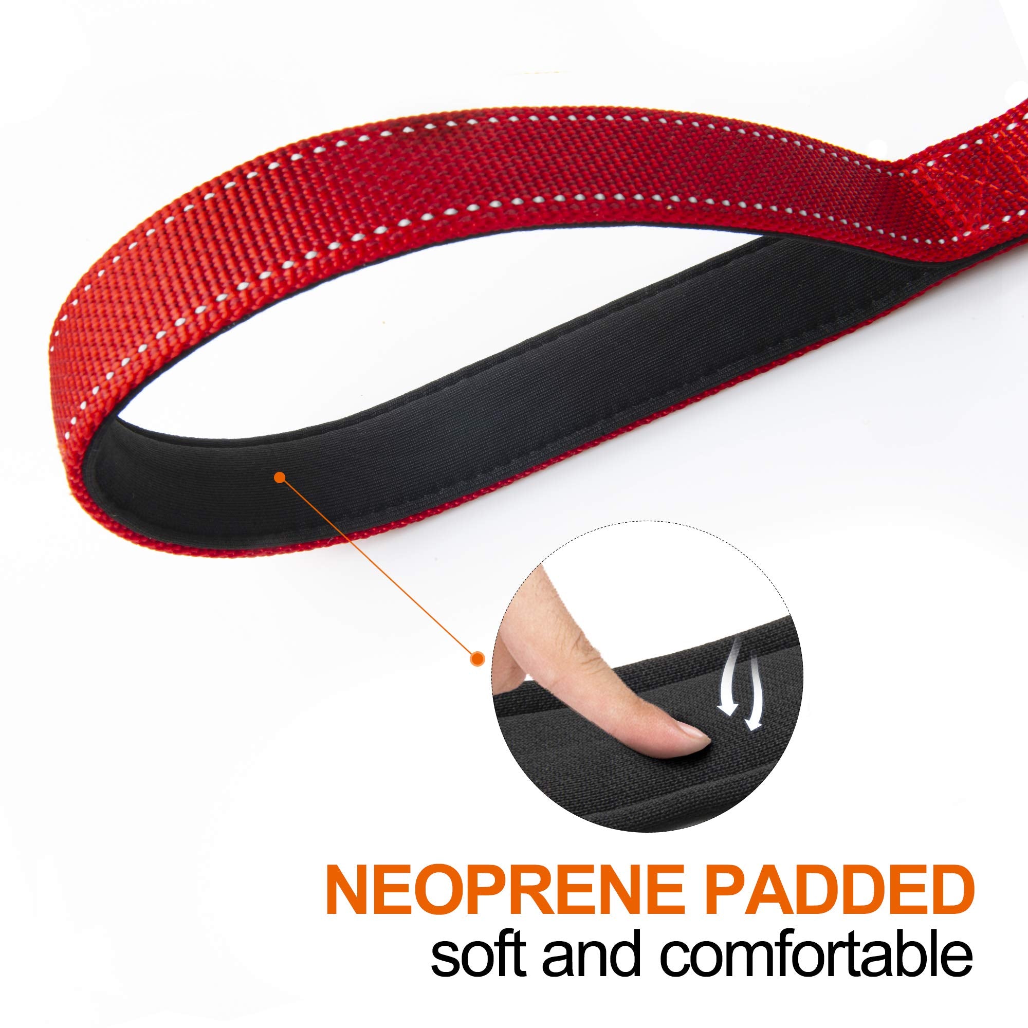 TwoEar reflective night safety leash improves visibility during dusk walks.