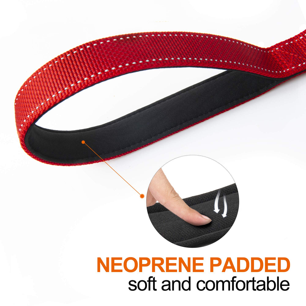 TwoEar reflective night safety leash improves visibility during dusk walks.