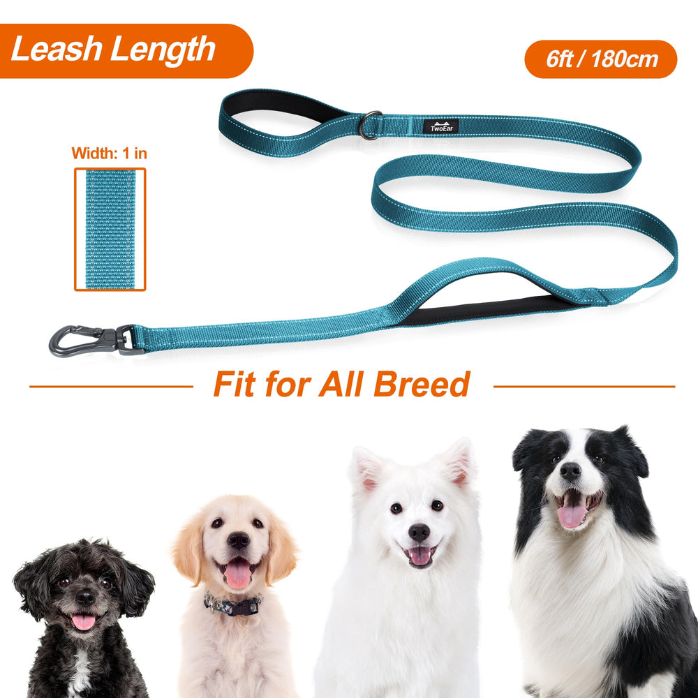 TwoEar reflective stitching on blue leash for nighttime visibility.