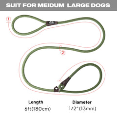 TwoEar Slip Lead green 6ft length provides balanced control for large dogs.