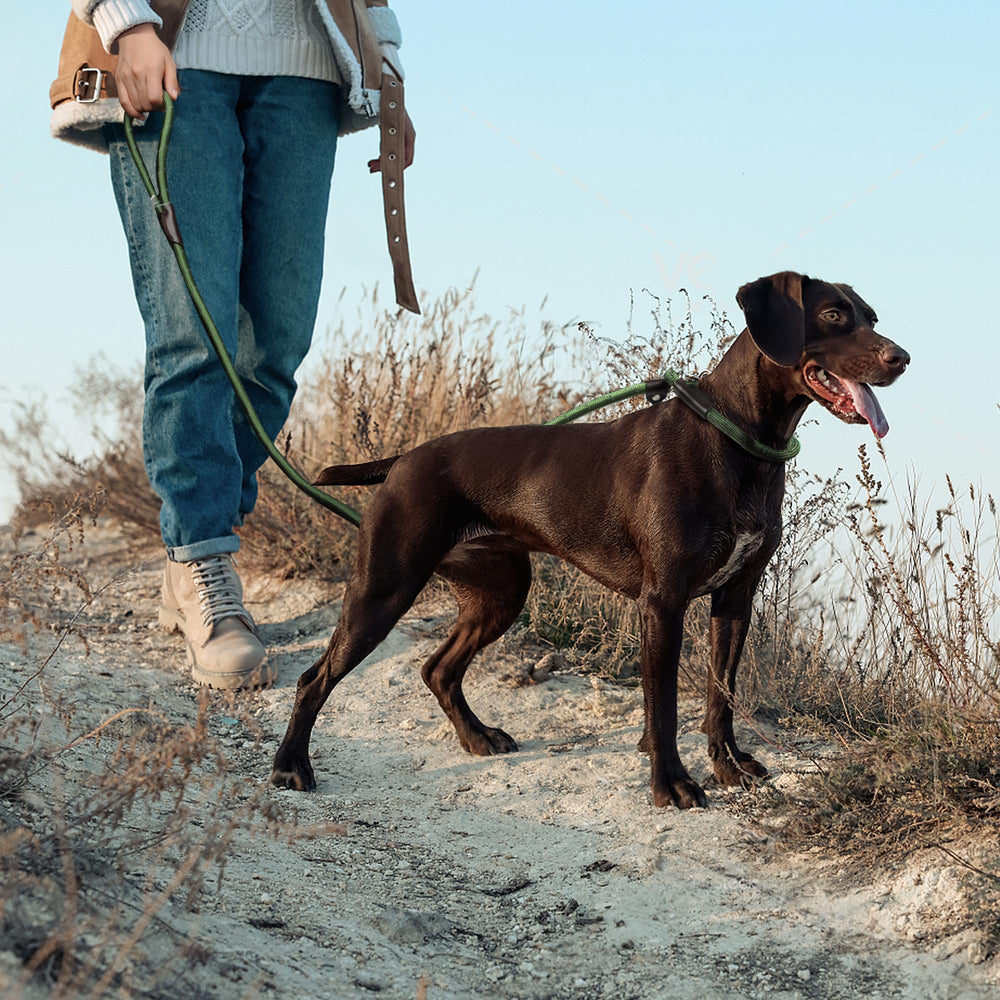 TwoEar Slip Lead green ergonomic grip reduces hand fatigue.