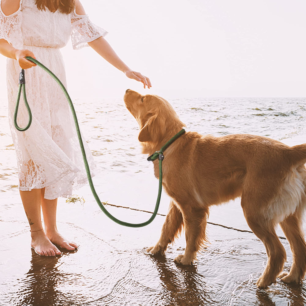TwoEar Slip Lead green night-walk visibility enhances safety after dark.
