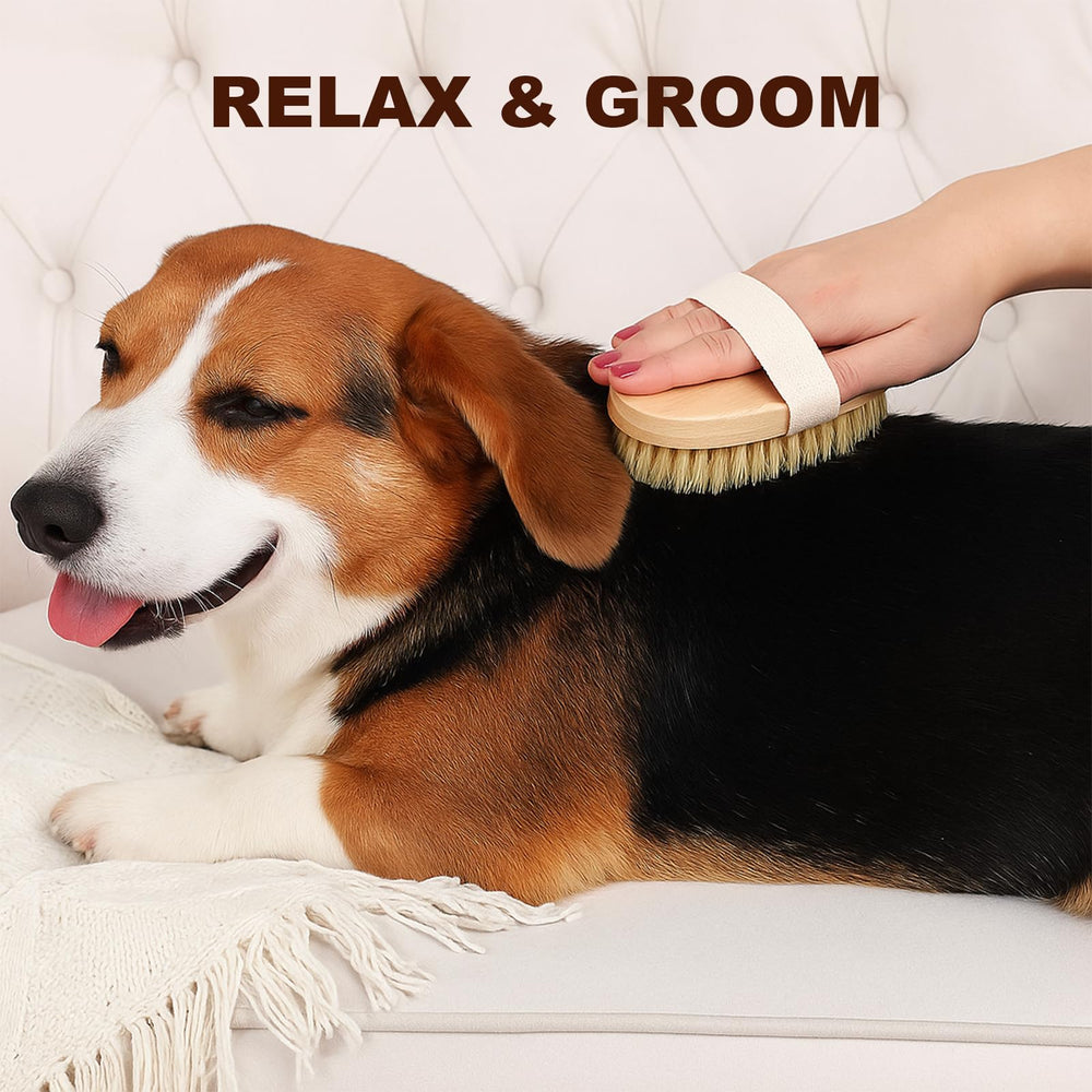 TWPER palm-brush with ergonomic wooden handle provides secure grip during grooming.