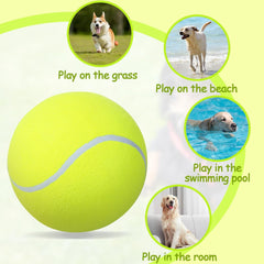 TYLIN large dog toy designed for indoor and outdoor interactive play
