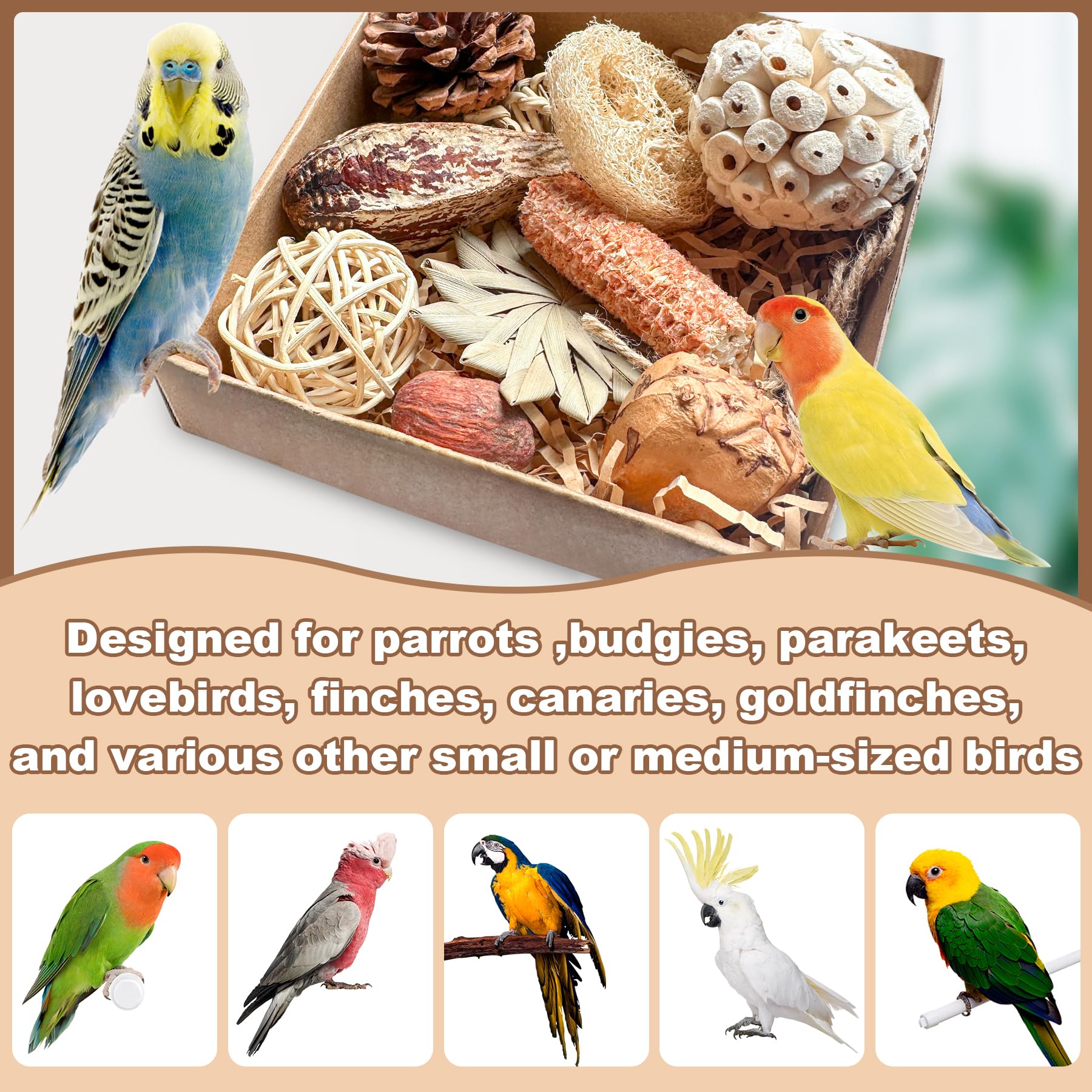 Tyotrbs 2 hooks allow flexible hanging configurations for different cage layouts.