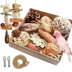 Tyotrbs 2 in 1 Parrot Toy hanging setup promotes active foraging and bird-friendly play sessions.