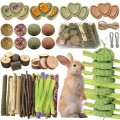 Tyotrbs Apple Branch chew promotes nibbling and gentle tooth wear.