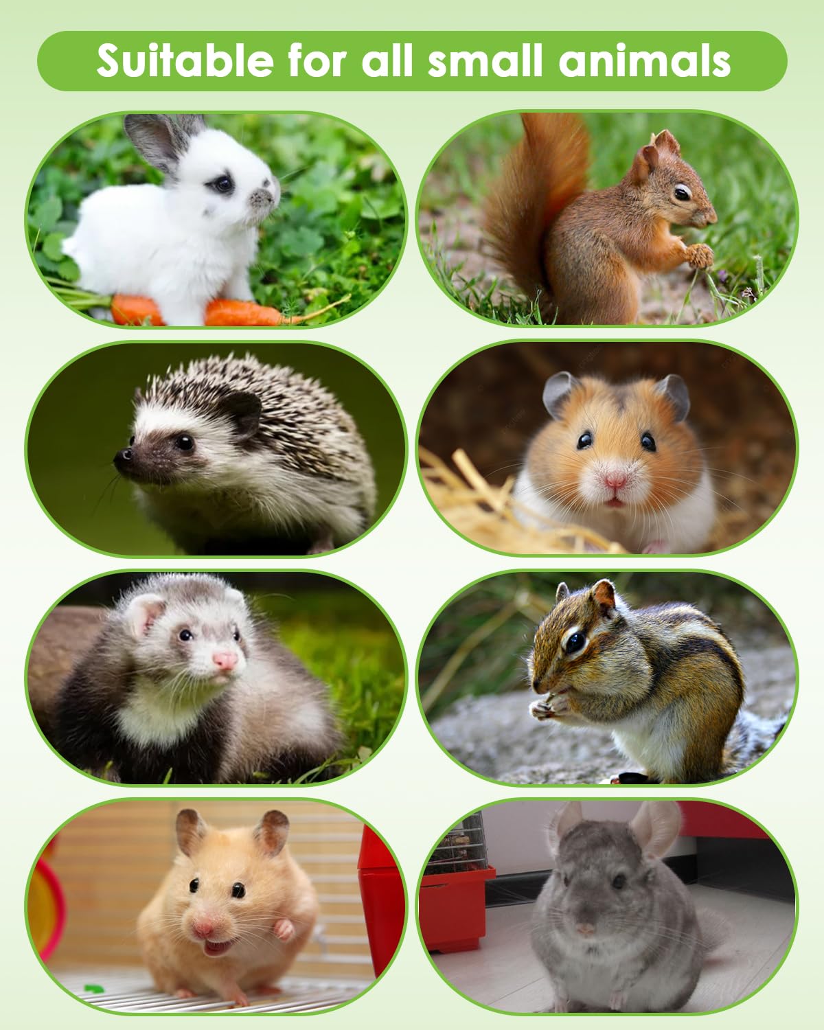 Tyotrbs Carrot Grass Cake offers textured, dental-friendly chewing.