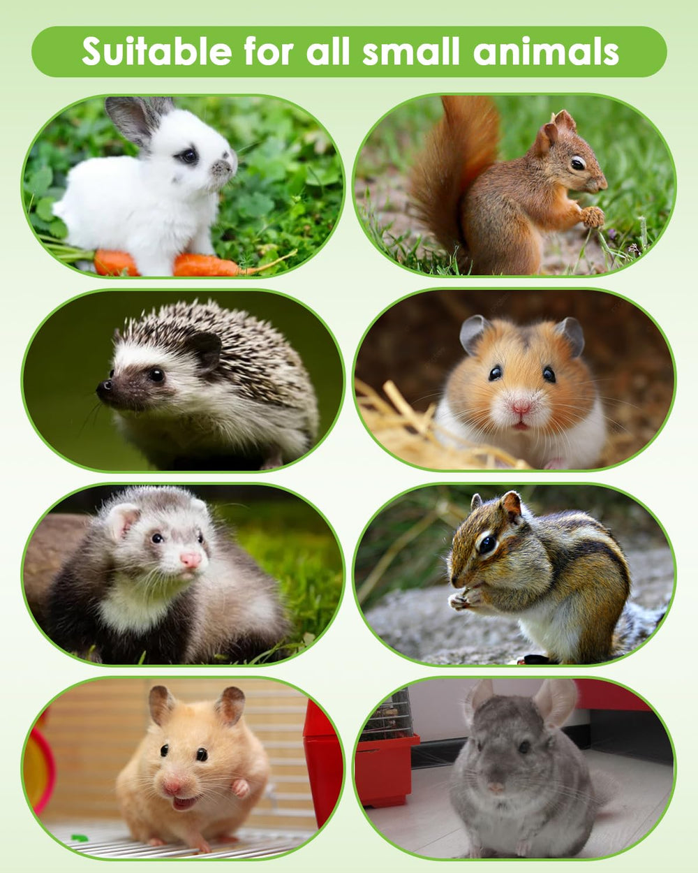 Tyotrbs Carrot Grass Cake offers textured, dental-friendly chewing.