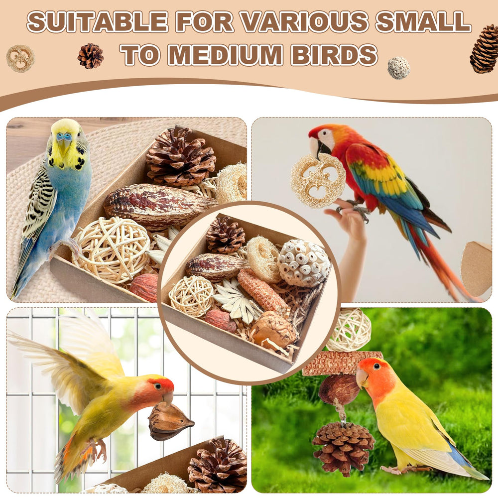 Tyotrbs crinkly loofah sponge pieces add texture for shredding and beak workouts.