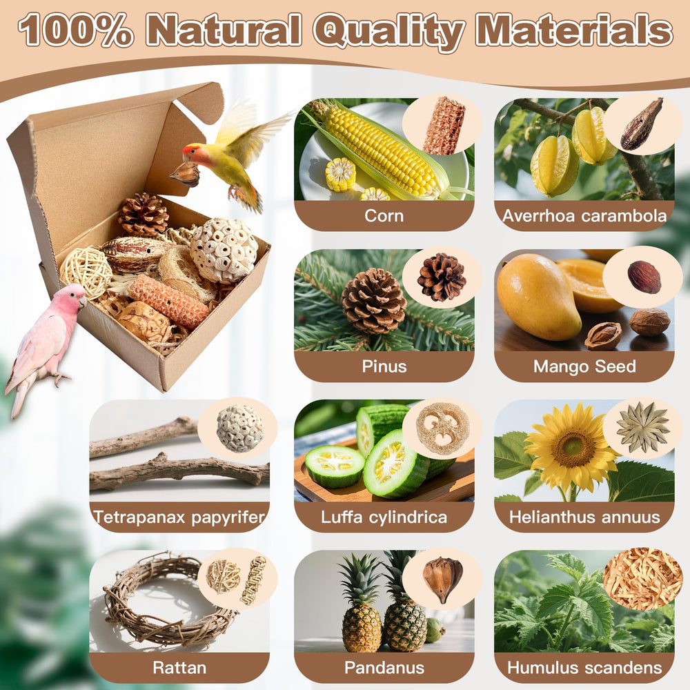 Tyotrbs foraging box treasure starfruit slice hides seeds, stimulating puzzle-solving behavior.