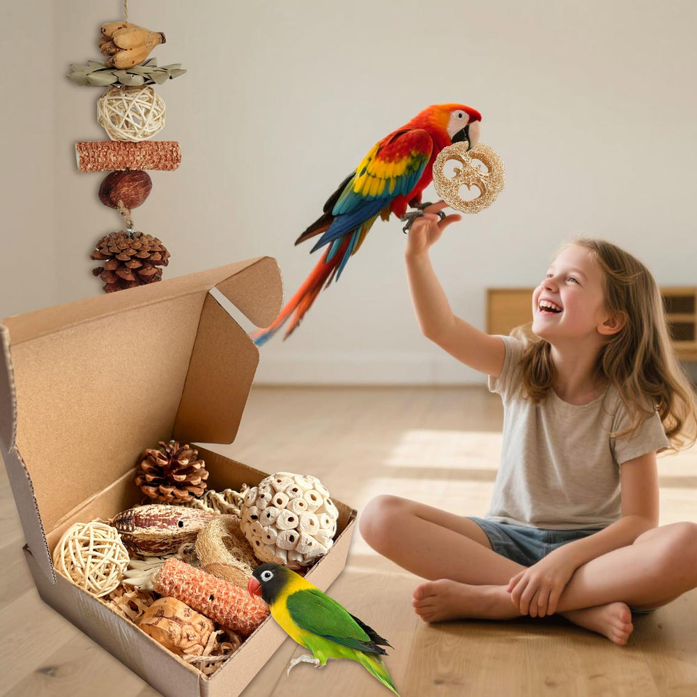 Tyotrbs sunflower leaf discs offer crunchy textures for shredding fun.