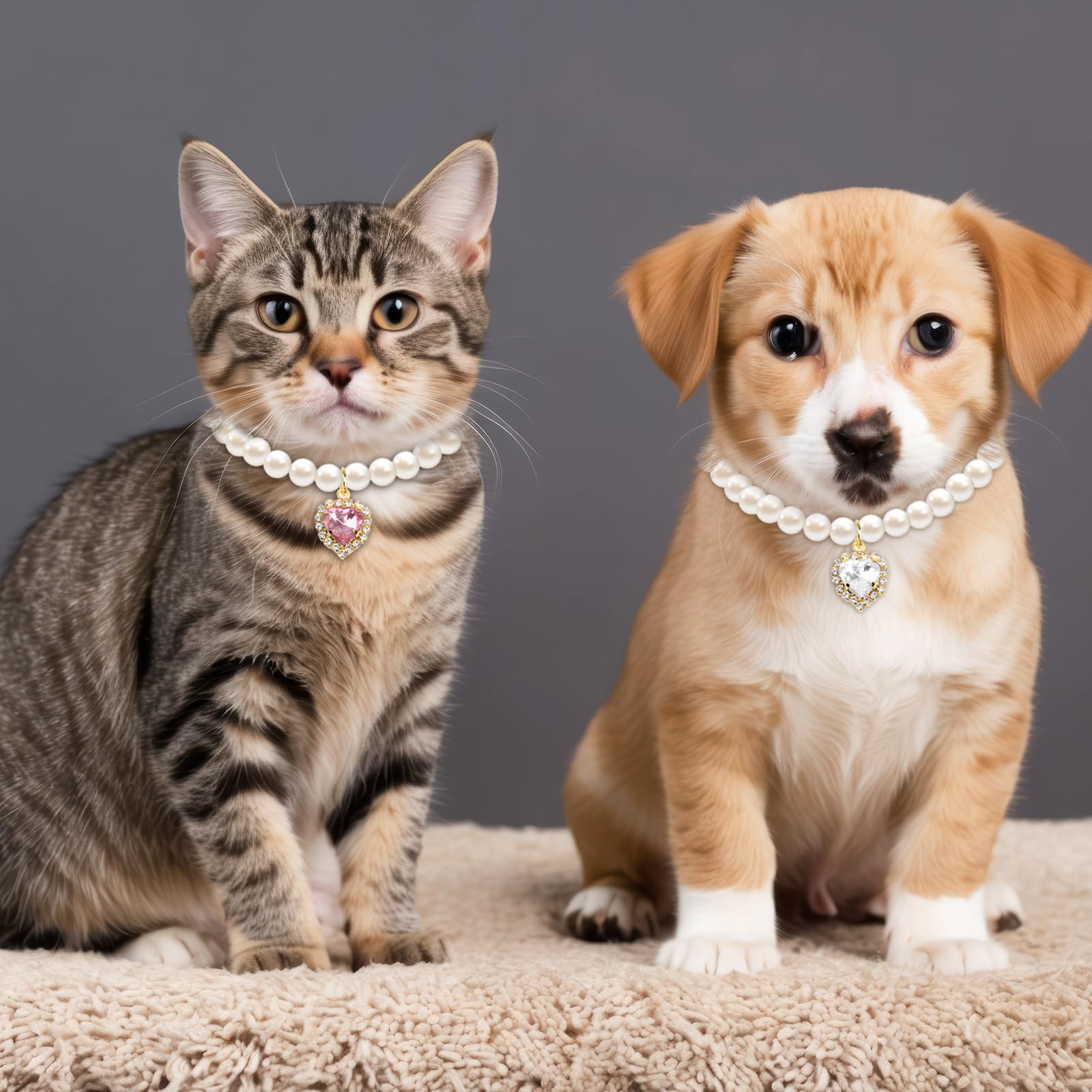 Tyqour pearl dog-cat collar worn by a small pet showcasing durable shine.