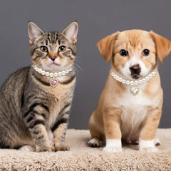 Tyqour pearl dog-cat collar worn by a small pet showcasing durable shine.