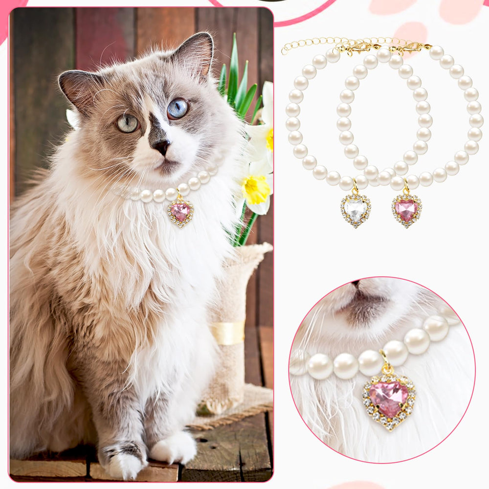 Tyqour two-pack collar option offers versatile styling for cats and small dogs.