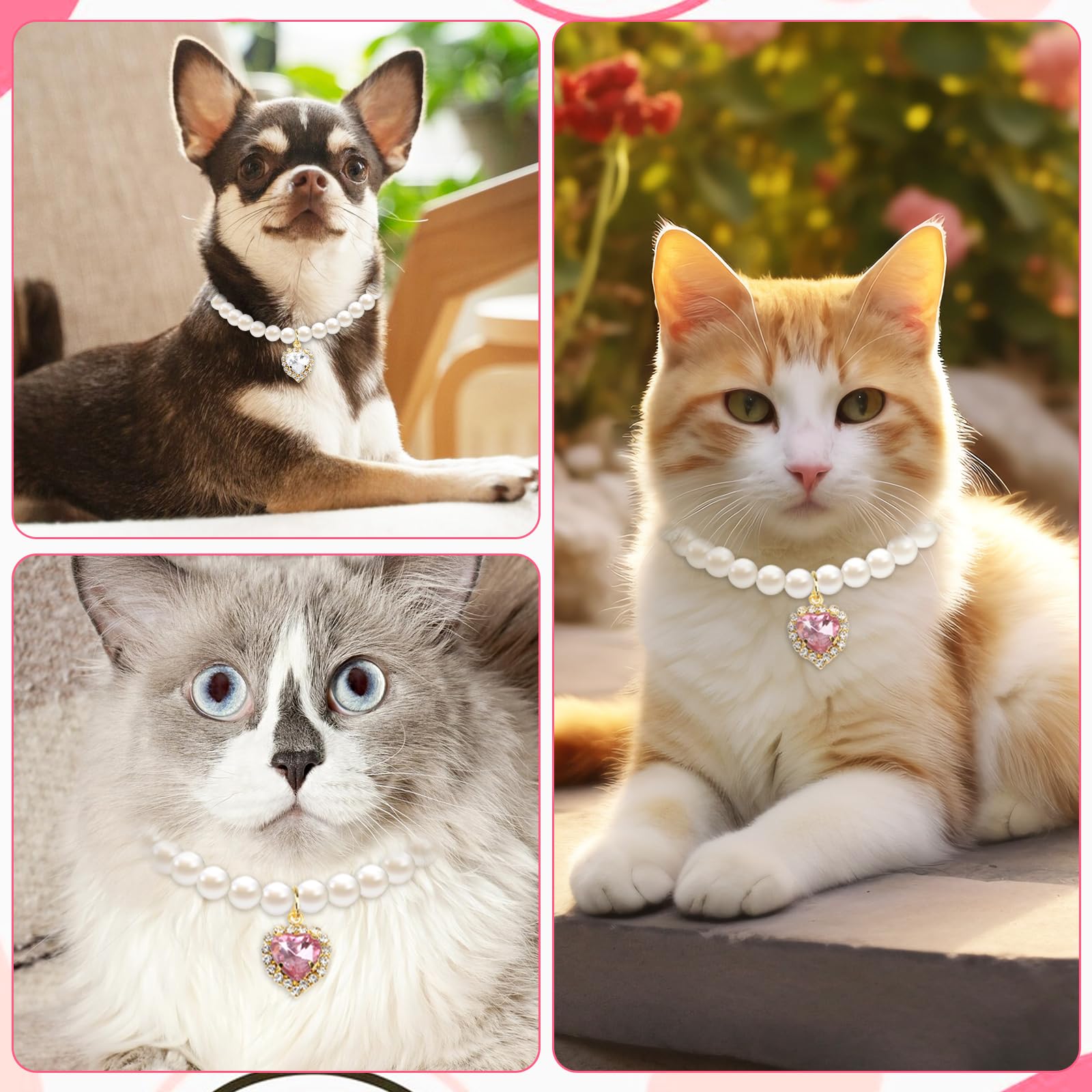 Tyqour wedding-ready collar on a pet for memorable photos and celebrations.