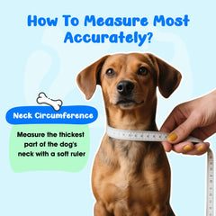 TZBEINN soft dog cone adjustable drawstring enables a customizable protective fit.