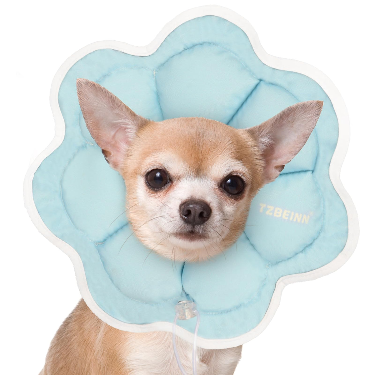 TZBEINN soft small dog cone closeup for gentle post-surgery recovery and comfort.