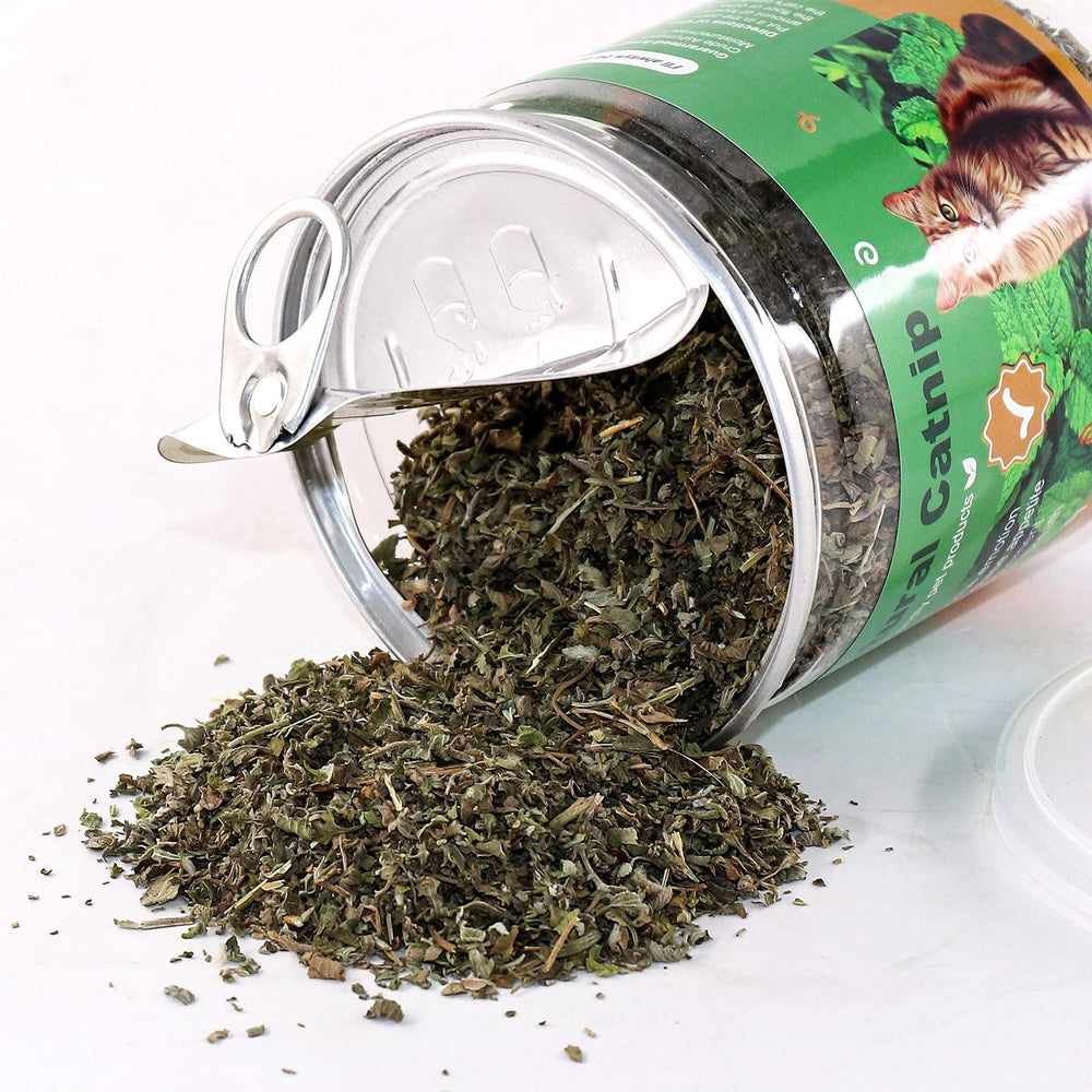 TZL Catnip fresh leaves dried pieces provide aromatic scent and ready-to-use cat stimulation