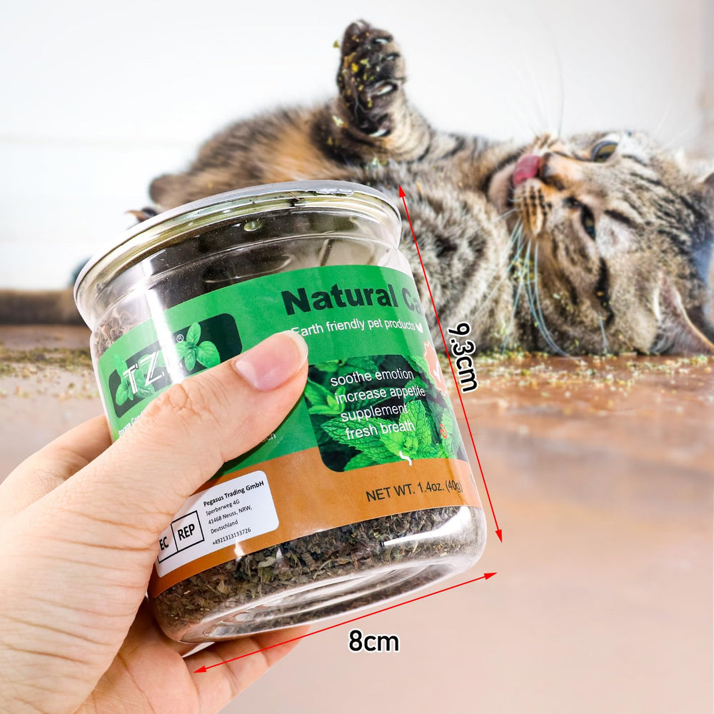 TZL Catnip toy refill application demonstrates easy scent boost for interactive scratching boards