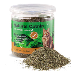 TZL Natural Catnip can sealed shows premium packaging preserving freshness for longer play sessions