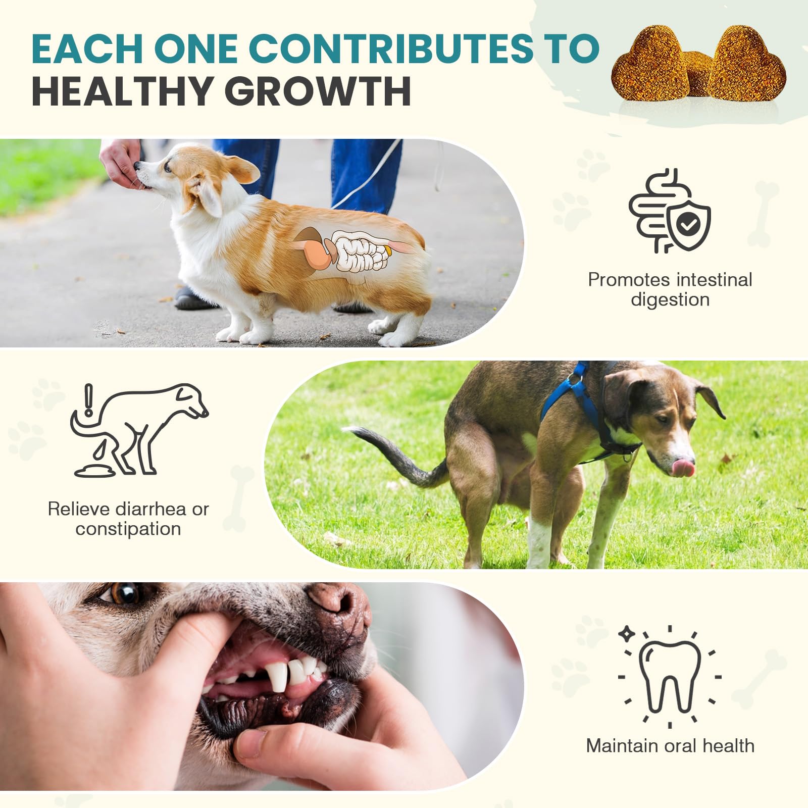 TzzyiC dog probiotics chews on wood table show easy daily digestion aid.