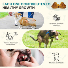 TzzyiC dog probiotics chews on wood table show easy daily digestion aid.